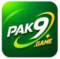 PAK9 Game online gaming platform for Pakistani players